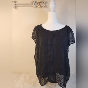 Lauren Aconrad Elegant Black Women's Top XLarge